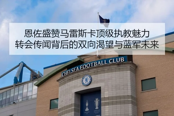 恩佐盛赞马雷斯卡顶级执教魅力 转会传闻背后的双向渴望与蓝军未来